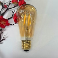 Ampoule LED Edison Source lumineuse basse tension 12V ST58 Tea Color G45 Ampoule rétro décorative AC Power Supply Glass E27 for Wholesale