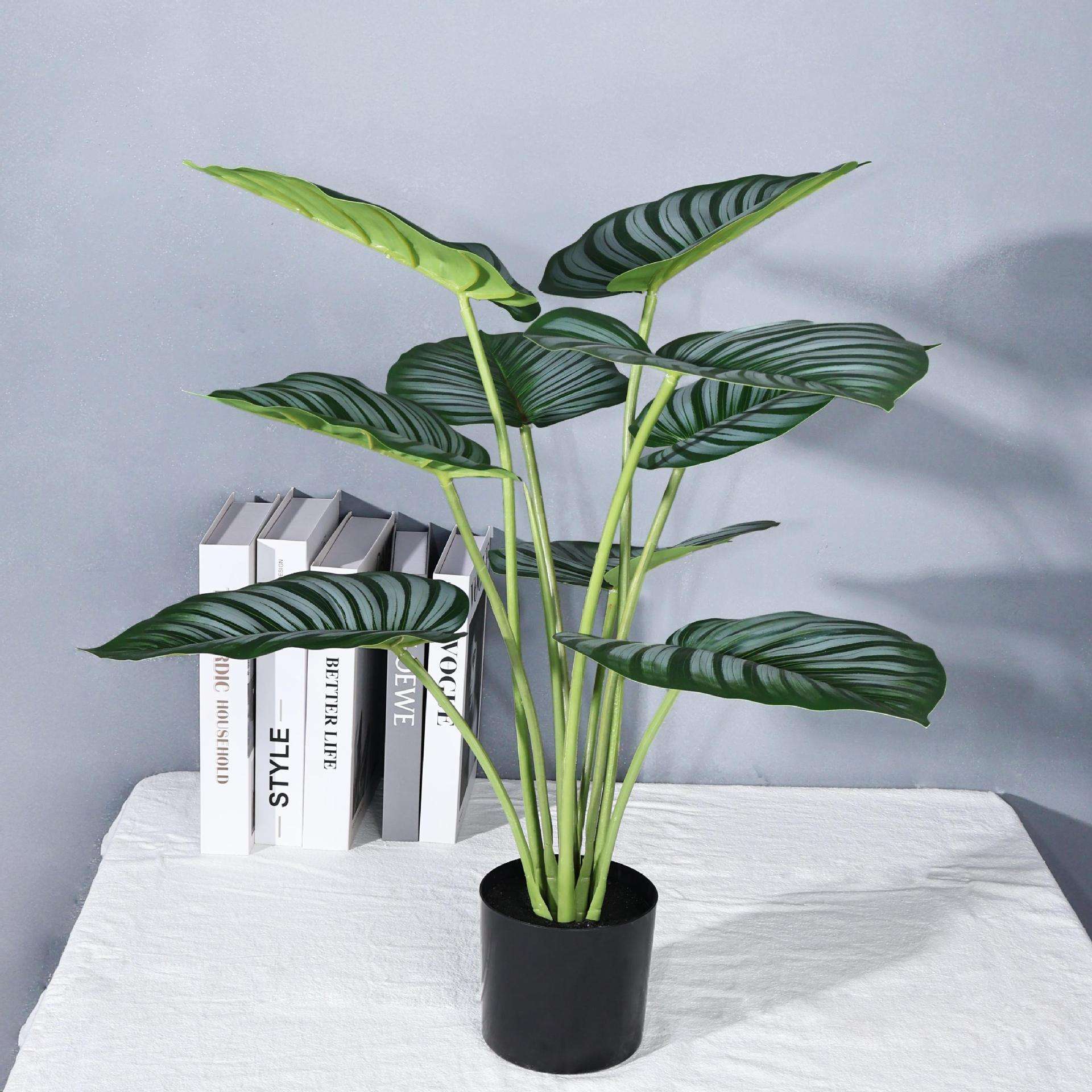 ใบแอปเปิ้ล