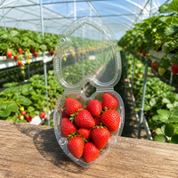 Hartvormige 500g capaciteit gerecycleerde PET geventileerde transparante wegwerp clamshell verpakking voor verse kersentomaten en aardbeien