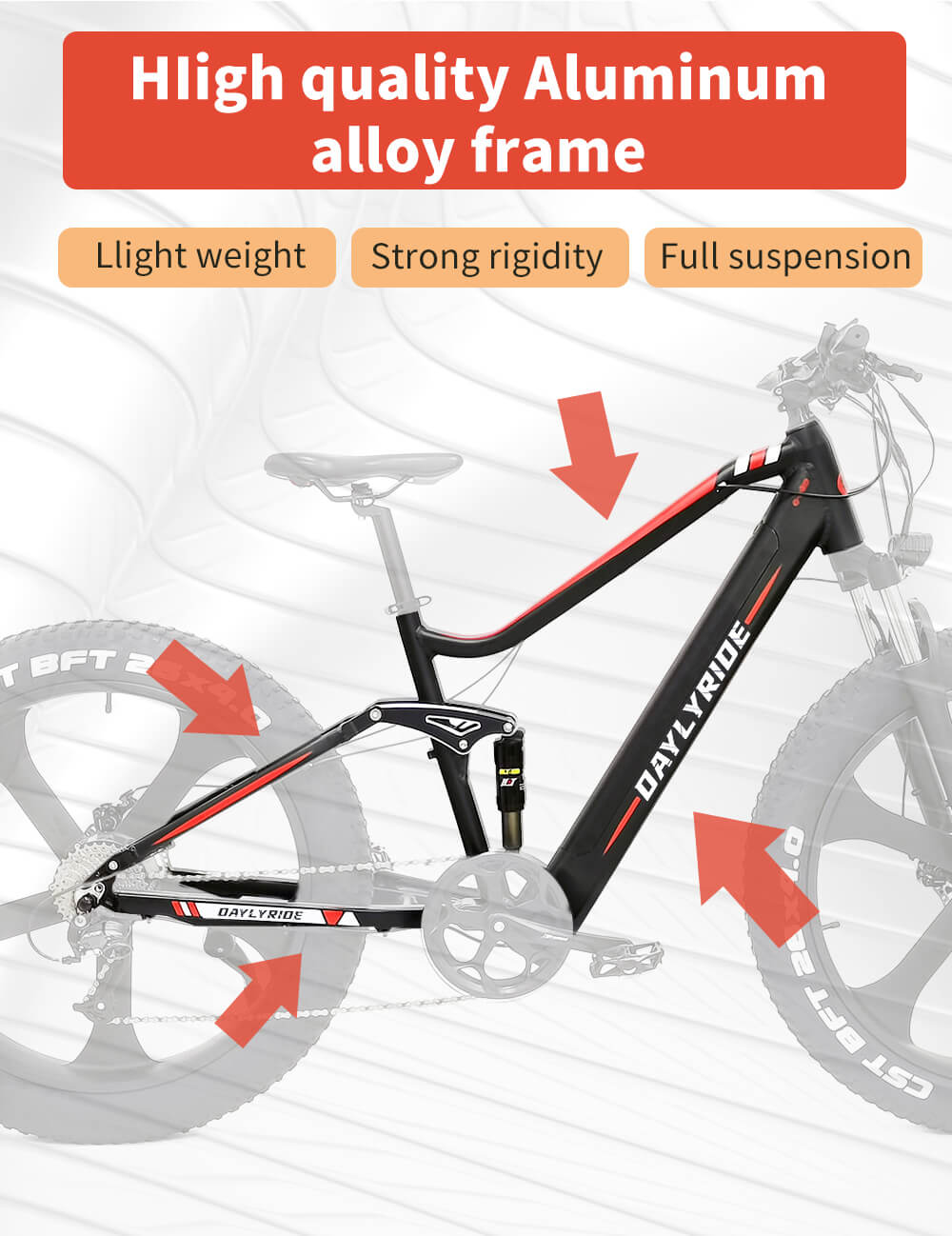Electric bike 1000W Dailyride LEO Magnesium rims