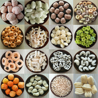 Ligne d'extrusion de snacks soufflés au maïs avec remplissage central et moules interchangeables pour le mélange et le façonnage de snacks