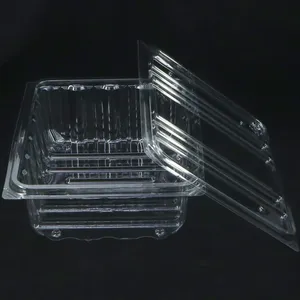 Scatola di plastica per alimenti per animali domestici con copertura trasparente per frutta e verdura Snack torta Display scatola di imballaggio confezionata