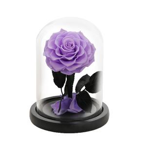 Rosas Eternas Preservadas en Cúpula de Cristal para Regalo de San Valentín/Navidad y Graduación 2026, Venta al Por Mayor - Product Image 2