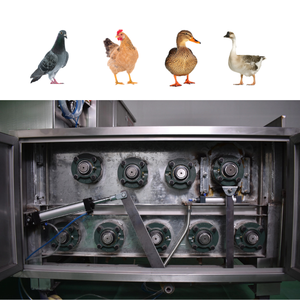 MD型鸡烫毛脱毛机，带泵、PLC、齿轮箱、发动机，380V，高生产率600bp/h，核心部件轴承 - Product Image 6