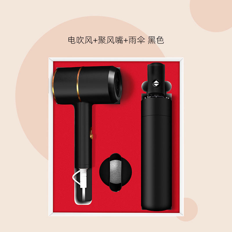 Black two-piece set [hair dryer and umbrella]