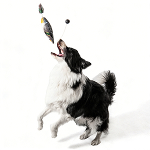 Dummy d'entraînement réaliste pour chien <span class=keywords><strong>de</strong></span> <span class=keywords><strong>chasse</strong></span>, en forme <span class=keywords><strong>de</strong></span> canard vert, en EVA imperméable, pour le dressage <span class=keywords><strong>de</strong></span> <span class=keywords><strong>chiens</strong></span> <span class=keywords><strong>de</strong></span> <span class=keywords><strong>chasse</strong></span> en extérieur - Product Image 6