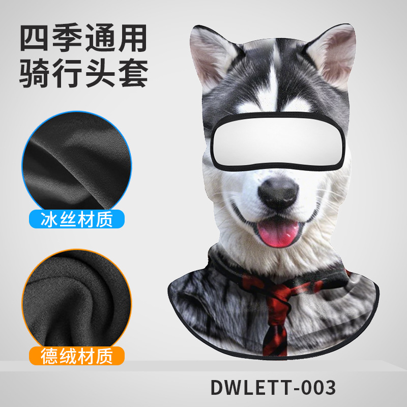 DWLETT-003