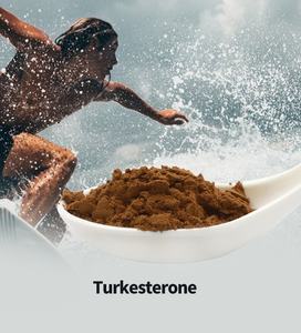 Suplemen Olahraga Ekstrak Herbal Ajuga Turkestanica 2% Bubuk Turkesterone Kemasan Vakum Bersertifikat HPLC - Product Image 3