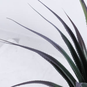 Planta de <span class=keywords><strong>Agave</strong></span> Artificial con pinchos para interiores y exteriores, verde sintética realista resistente a los rayos UV - Product Image 4