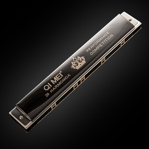 28 trous d'harmonica professionnel débutant de haute qualité pour étudiants adultes - Product Image 2