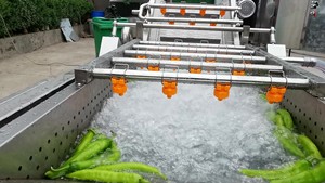 Ozone System Lavadora De Frutas Industrial Fruit Bubble Washing Machine Ozone System Lavadora De Frutas Industrial Fruit Bubble - Product Image 6