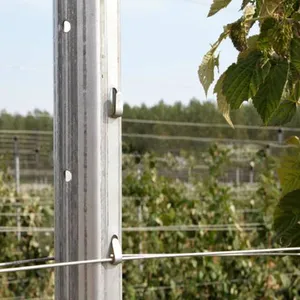 Poteau de treillis de vignoble en acier de plantes de vigne galvanisées plongées à chaud/piquet de raisin en métal/poteaux de vignoble