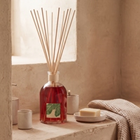 Diffuseur à bâtonnets, Bouteille de diffuseur, Ensemble diffuseur à bâtonnets, Bouteille en verre ambré, Bouteille en verre dépoli avec boîte, Luxe, 150 ml, Bouteille en verre vide pour diffuseur à bâtonnets