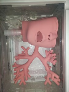 Simulador de Entrenamiento de Broncoscopio, Modelo de Árbol Bronquial Humano para Entrenamiento Médico Respiratorio - Product Image 2