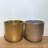 En Stock Galvanoplastie Or En Plastique/Mélamine Pot Cactus Succulentes Pots Décorations De Balcon Planteur