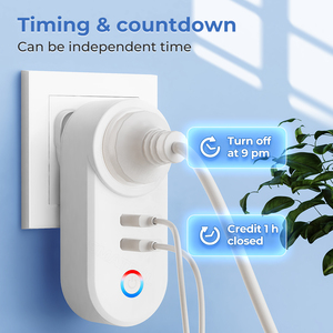 Reino Unido enchufe 16A adaptador de salida ABS USB enchufe voz Smart Life App Control Google Home Yandex Alice Tuya Wifi inteligente eléctrico - Product Image 4