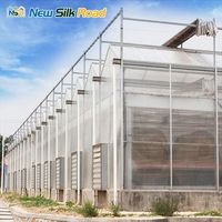 Kit de serre hydroponique pour tomates de grande taille Nsr Commercial Venlo Multi-Span en polycarbonate (plaque PC) pour l'agriculture