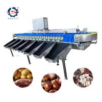 Automatische avocado- en groentegewichtsorteermachine met nauwkeurige temperatuurregeling voor fruit- en groenteverwerkingsbedrijven