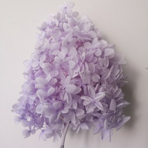 Commercio all'ingrosso Decorazione Conserve di Singoli Fiori di <span class=keywords><strong>Ortensia</strong></span> Legno <span class=keywords><strong>Ortensia</strong></span> Per La Decorazione Domestica - Product Image 3
