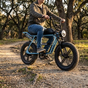Vélo électrique compact rétro à gros pneus avec batterie au lithium 48V 16Ah et écran LCD, Vélo de croisière à assistance au pédalage pour les trajets quotidiens sur le campus - Product Image 2