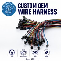 Kit Kabel Harness Kustom Jumper Wire M F 40P Sambung Kabel DuPont Elektronik Otomotif IP67 30cm 40pin Warna Pria Wanita OEM