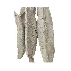 Bulk Body intero pesce nutriente <span class=keywords><strong>a</strong></span> basso contenuto di grassi filetto di pesce congelato crostate di tonno striato precotto - Product Image 4