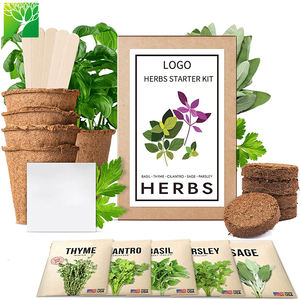 Deluxe Garden Gifts NON ogm Mini <span class=keywords><strong>il</strong></span> tuo basilico coriandolo prezzemolo salvia timo Herb Garden Organic Planting grow trays Kit Set - Product Image 2