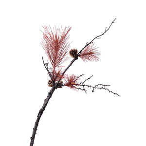 Ramas <span class=keywords><strong>de</strong></span> pino rojo artificial al por mayor con agujas <span class=keywords><strong>de</strong></span> pino y piñas <span class=keywords><strong>para</strong></span> decoración <span class=keywords><strong>de</strong></span> interiores, exteriores, Navidad, festivales, hogar, jardín y mesa. - Product Image 5