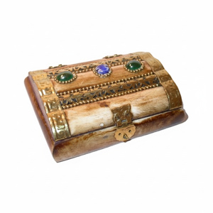 Natural Bone Box for Jewelry Storage Design Multiple Wooden Jewelry Packaging Box From India - Product Image 1