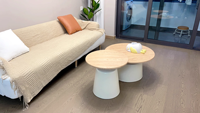 Ensemble de 2 Tables Basses Rondes Modernes en Bois pour Salon – Vente en Gros