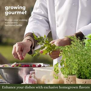 OEM 9-Herb interior/exterior ventana jardín Kit con 10 macetas de yute de hierbas sin OGM para la decoración del hogar y los entusiastas de la jardinería - Product Image 6