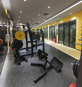 Silla Romana de Alta Calidad para Ejercicios de Espalda, Ajustable, para Entrenamiento de Músculos de Core y Espalda, Equipo de Gimnasio - Product Image 4