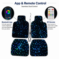 Tapis de sol de voiture à fibres optiques LED, tapis Starlight, télécommande APP, 7 couleurs, dégradé, flash musical, synchronisation, vitesse réglable, minuterie