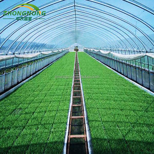 Serre tunnel <span class=keywords><strong>en</strong></span> film plastique à simple travée utilisée pour <span class=keywords><strong>les</strong></span> systèmes d'agriculture verticale pour la culture de légumes, fruits et fleurs - Product Image 6