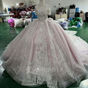 Robes de soirée modernes rose princesse, robes de bal formelles en organza rose avec appliques en dentelle, dos nu, longueur ras du sol, pour Quinceañera - Product Image 5