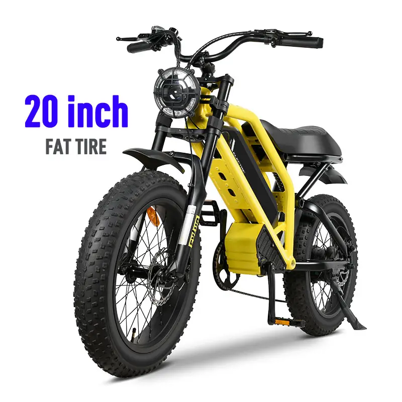 Bicicleta eléctrica de 20 pulgadas para motocicleta, bicicleta eléctrica de rueda de 48V, neumático grueso, para ciudad, carretera de montaña