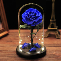 Nouveau Long Lasting Fresh Forever Real Touch Préservé Rose Dome Flower Roses éternelles dans un dôme en verre Saint Valentin Gif