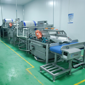 11 Dây chuyền chế biến khoai tây - Product Image 4