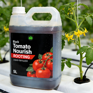 <span class=keywords><strong>Engrais</strong></span> liquide spécial pour l'enracinement des tomates - Stimule le développement des racines et améliore le taux de survie des semis - Product Image 6