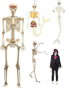 Décoration d'Halloween Squelettes, Squelette d'Halloween grandeur nature de 165cm Squelettes de corps avec articulation mobile