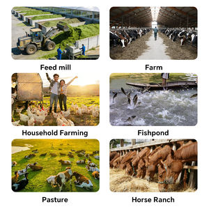 Máquina Picadora de Forraje para Animales, Cortadora de Pasto para Granja, Picadora de Ensilaje, Trituradora de Frutas, Verduras, Zanahorias y Repollo - Product Image 6