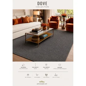Petra Dove 90117 <b>Grey</b> Polypropylene Area <b>Rug</b> 16 mm Pile Pet Friendly High Traffic Carpet for Living Room <b>Bedroom</b> Durable - Product Image 3