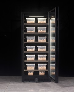 Incubatrice per bambini completamente intelligente rettile lucertola pappagallo uccello tartaruga serpente incubatrice di uova per animali domestici - Product Image 4