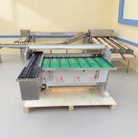 Automatische Eieren Sorteermachine 15000 Eieren/uur Kippeneieren Sorteermachine Sorteer- en Verpakkingsmachine