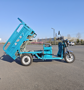 Nouveau modèle de tricycle électrique à 3 roues bon marché <span class=keywords><strong>pour</strong></span> adultes présentoir de tricycle commercial de boîte de 1000W vélo électrique <span class=keywords><strong>pour</strong></span> adultes - Product Image 6