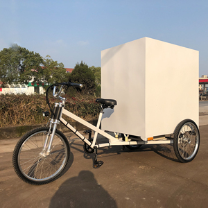 Tricycle de livraison Ester Es-t03 Hard Top Bibo Es-t03 48 Volts - Product Image 4