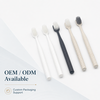 Lot de brosses à dents jetables avec dentifrice pour hôtels et distributeurs de produits hôteliers