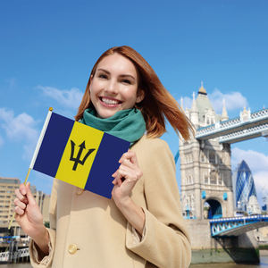 Impresión digital personalizada Barbados Country Stick Hand Held Flag para deportes - Product Image 3