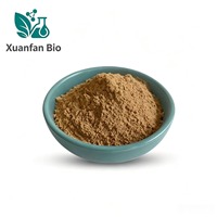 Groothandel Bulk Grote Hoeveelheden Groteklaver Fruitextract 10:1 100:1 Multi Spec Arctium Lappa Kruidenextract Poeder Cosmetische Kwaliteit Grondstof
