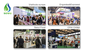 Natural <span class=keywords><strong>98%</strong></span> Pureza Oroxylum Indicum Plant <span class=keywords><strong>Extract</strong></span> <span class=keywords><strong>Chrysin</strong></span> para Cuidados de Saúde - Product Image 4